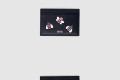 [DIOR-디올]KAWS 카드지갑 S2098