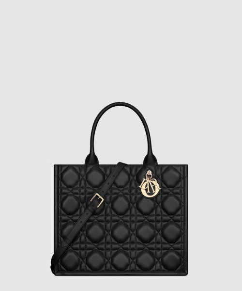 [DIOR-디올]북 토트백 미듐 M1324