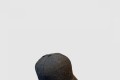 [LOUIS VUITTON-루이비통]베이스볼 캡 M42355